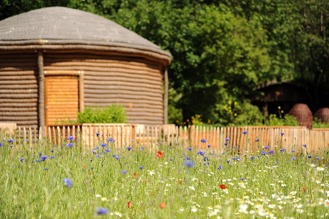 Die Eekholter Bienenwelt